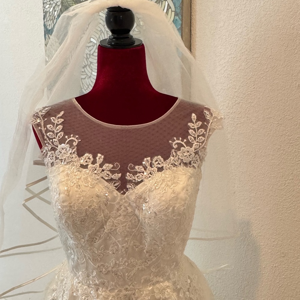 JJ’s House A-line Illusion Tulle Lace Short Wedding Dress with Two Tier 31” Veil